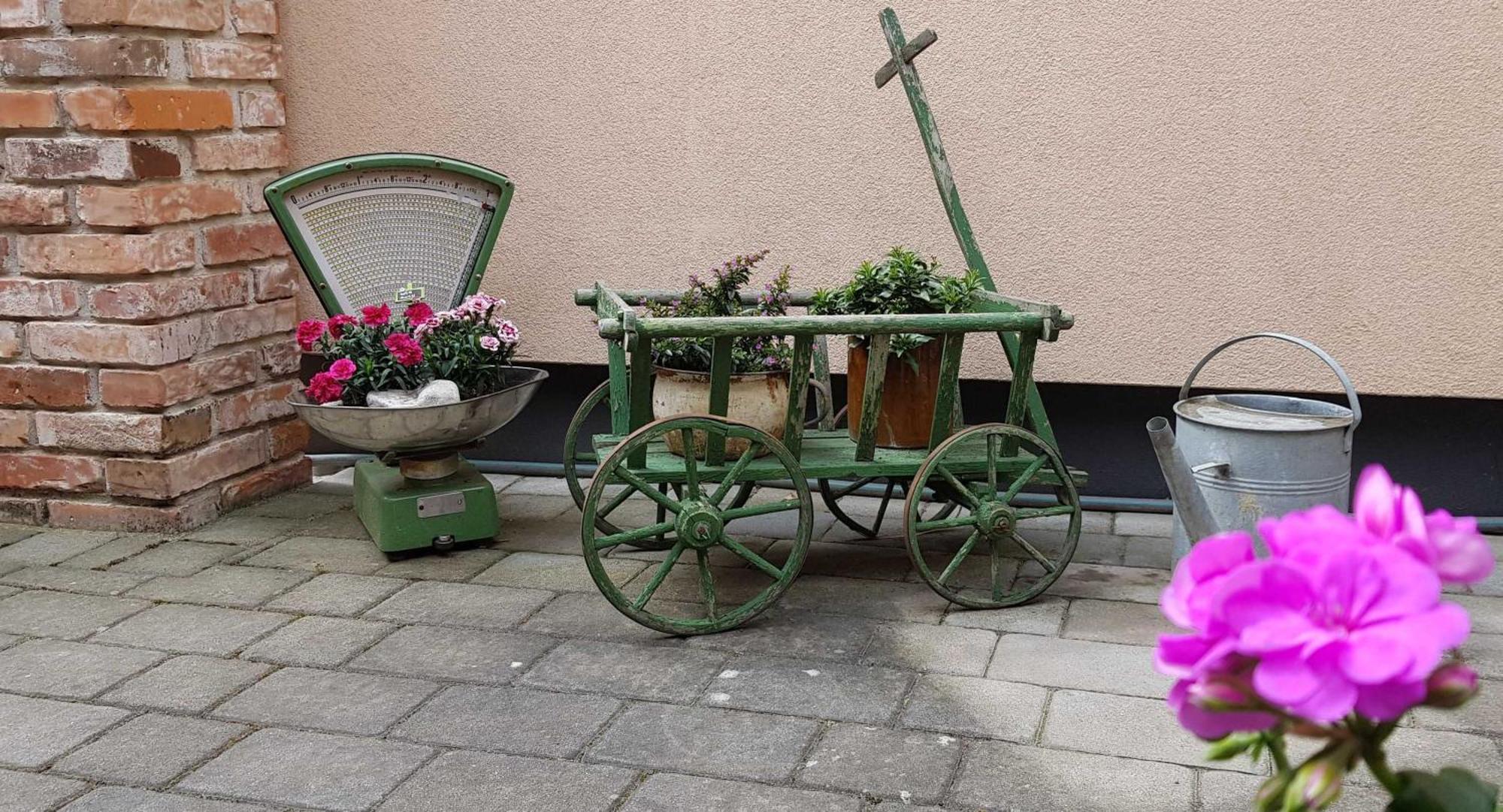 Ferienwohnungen _ Haus Lisa_ 圣弗顿堡 外观 照片