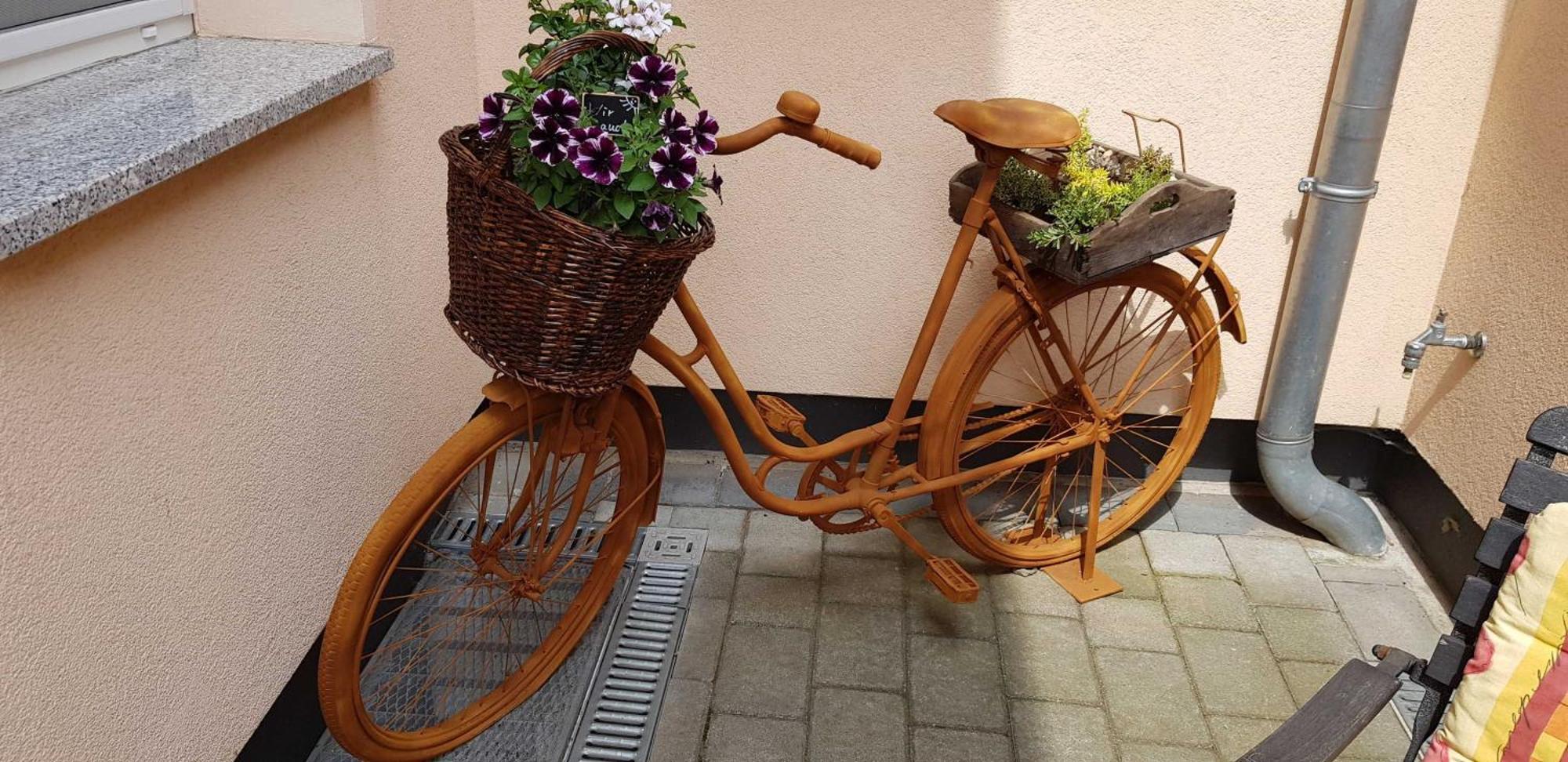 Ferienwohnungen _ Haus Lisa_ 圣弗顿堡 外观 照片